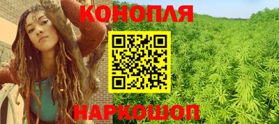 крисы Кунгур